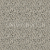 Ковровое покрытие Ege Metropolitan RF5295612 серый — купить в Москве в интернет-магазине Snabimport