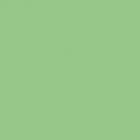 Краска Oikos Фасадная линия ELASTRONG VENEZIA FINE Elas-fine-CP4340 зеленый — купить в Москве в интернет-магазине Snabimport