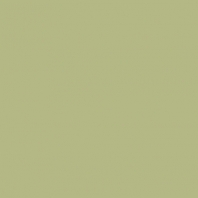 Краска Oikos Фасадная линия ELASTRONG VENEZIA FINE Elas-fine-CP4550 зеленый — купить в Москве в интернет-магазине Snabimport