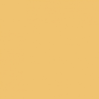 Краска Oikos Фасадная линия ELASTRONG VENEZIA FINE Elas-fine-CP4600 желтый — купить в Москве в интернет-магазине Snabimport