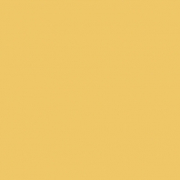 Краска Oikos Фасадная линия ELASTRONG VENEZIA FINE Elas-fine-CP4610 желтый — купить в Москве в интернет-магазине Snabimport