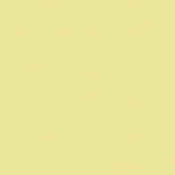 Краска Oikos Фасадная линия ELASTRONG VENEZIA FINE Elas-fine-CP4640 желтый — купить в Москве в интернет-магазине Snabimport