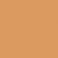 Краска Oikos Фасадная линия ELASTRONG VENEZIA FINE Elas-fine-CP4650 коричневый — купить в Москве в интернет-магазине Snabimport