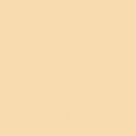 Краска Oikos Фасадная линия ELASTRONG VENEZIA FINE Elas-fine-CP4840 желтый — купить в Москве в интернет-магазине Snabimport