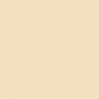 Краска Oikos Фасадная линия ELASTRONG VENEZIA FINE Elas-fine-CP4890 коричневый — купить в Москве в интернет-магазине Snabimport