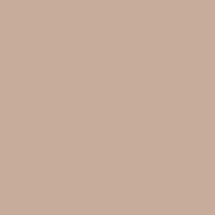 Краска Oikos Фасадная линия ELASTRONG VENEZIA FINE Elas-fine-CP4950 коричневый — купить в Москве в интернет-магазине Snabimport