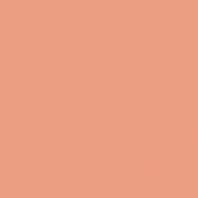 Краска Oikos Фасадная линия ELASTRONG VENEZIA FINE Elas-fine-CP5060 оранжевый — купить в Москве в интернет-магазине Snabimport