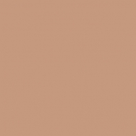 Краска Oikos Фасадная линия ELASTRONG VENEZIA FINE Elas-fine-CP5070 коричневый — купить в Москве в интернет-магазине Snabimport