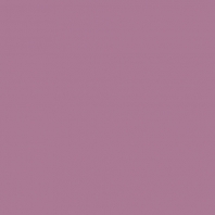 Краска Oikos Фасадная линия ELASTRONG VENEZIA FINE Elas-fine-CP5210 Фиолетовый — купить в Москве в интернет-магазине Snabimport