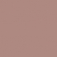 Краска Oikos Фасадная линия ELASTRONG VENEZIA FINE Elas-fine-CP5260 коричневый — купить в Москве в интернет-магазине Snabimport