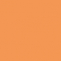 Краска Oikos Фасадная линия ELASTRONG VENEZIA FINE Elas-fine-ED2255 оранжевый — купить в Москве в интернет-магазине Snabimport