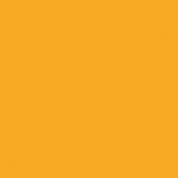 Краска Oikos Фасадная линия ELASTRONG VENEZIA FINE Elas-fine-ED2295 желтый — купить в Москве в интернет-магазине Snabimport