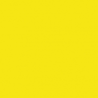 Краска Oikos Фасадная линия ELASTRONG VENEZIA FINE Elas-fine-ED2375 желтый — купить в Москве в интернет-магазине Snabimport