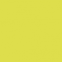 Краска Oikos Фасадная линия ELASTRONG VENEZIA FINE Elas-fine-ED2385 желтый — купить в Москве в интернет-магазине Snabimport