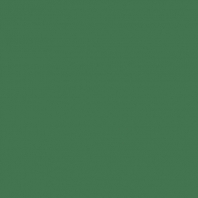 Краска Oikos Фасадная линия ELASTRONG VENEZIA FINE Elas-fine-ED2445 зеленый — купить в Москве в интернет-магазине Snabimport