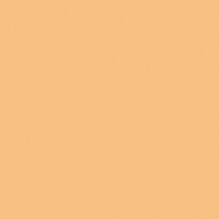 Краска Oikos Фасадная линия ELASTRONG VENEZIA FINE Elas-fine-EX1440 коричневый — купить в Москве в интернет-магазине Snabimport