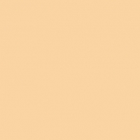 Краска Oikos Фасадная линия ELASTRONG VENEZIA FINE Elas-fine-EX1450 коричневый — купить в Москве в интернет-магазине Snabimport