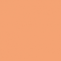 Краска Oikos Фасадная линия ELASTRONG VENEZIA FINE Elas-fine-EX1540 оранжевый — купить в Москве в интернет-магазине Snabimport