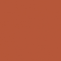 Краска Oikos Фасадная линия ELASTRONG VENEZIA FINE Elas-fine-EX1600 коричневый — купить в Москве в интернет-магазине Snabimport