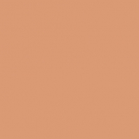 Краска Oikos Фасадная линия ELASTRONG VENEZIA FINE Elas-fine-EX1660 коричневый — купить в Москве в интернет-магазине Snabimport