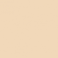 Краска Oikos Фасадная линия ELASTRONG VENEZIA FINE Elas-fine-EX1680 коричневый — купить в Москве в интернет-магазине Snabimport