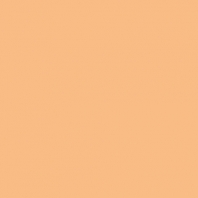 Краска Oikos Фасадная линия ELASTRONG VENEZIA FINE Elas-fine-EX1700 оранжевый — купить в Москве в интернет-магазине Snabimport
