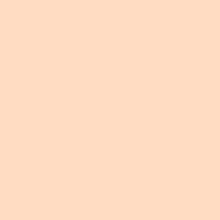 Краска Oikos Фасадная линия ELASTRONG VENEZIA FINE Elas-fine-EX1770 Бежевый — купить в Москве в интернет-магазине Snabimport