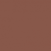 Краска Oikos Фасадная линия ELASTRONG VENEZIA FINE Elas-fine-EX1920 коричневый — купить в Москве в интернет-магазине Snabimport