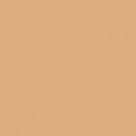 Краска Oikos Фасадная линия ELASTRONG VENEZIA FINE Elas-fine-EX1960 коричневый — купить в Москве в интернет-магазине Snabimport