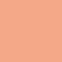Краска Oikos Фасадная линия ELASTRONG VENEZIA FINE Elas-fine-EX2040 коричневый — купить в Москве в интернет-магазине Snabimport