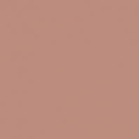 Краска Oikos Фасадная линия ELASTRONG VENEZIA FINE Elas-fine-EX2320 коричневый — купить в Москве в интернет-магазине Snabimport