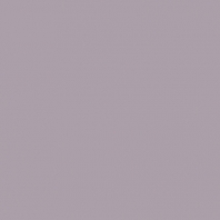 Краска Oikos Фасадная линия ELASTRONG VENEZIA FINE Elas-fine-EX2520 Фиолетовый — купить в Москве в интернет-магазине Snabimport