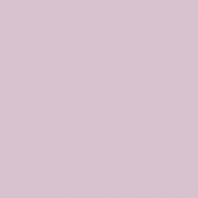 Краска Oikos Фасадная линия ELASTRONG VENEZIA FINE Elas-fine-EX2530 Фиолетовый — купить в Москве в интернет-магазине Snabimport