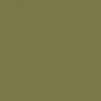 Краска Oikos Фасадная линия ELASTRONG VENEZIA FINE Elas-fine-EX2910 зеленый — купить в Москве в интернет-магазине Snabimport