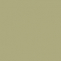 Краска Oikos Фасадная линия ELASTRONG VENEZIA FINE Elas-fine-EX2920 зеленый — купить в Москве в интернет-магазине Snabimport