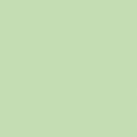 Краска Oikos Фасадная линия ELASTRONG VENEZIA FINE Elas-fine-EX2930 зеленый — купить в Москве в интернет-магазине Snabimport