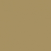 Краска Oikos Фасадная линия ELASTRONG VENEZIA FINE Elas-fine-EX3000 коричневый — купить в Москве в интернет-магазине Snabimport