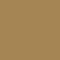 Краска Oikos Фасадная линия ELASTRONG VENEZIA FINE Elas-fine-EX3020 коричневый — купить в Москве в интернет-магазине Snabimport