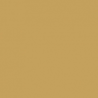 Краска Oikos Фасадная линия ELASTRONG VENEZIA FINE Elas-fine-EX3060 коричневый — купить в Москве в интернет-магазине Snabimport