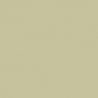 Краска Oikos Фасадная линия ELASTRONG VENEZIA FINE Elas-fine-TL021 Серый — купить в Москве в интернет-магазине Snabimport