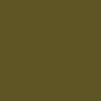Краска Oikos Фасадная линия ELASTRONG VENEZIA FINE Elas-fine-TL242 зеленый — купить в Москве в интернет-магазине Snabimport