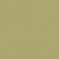 Краска Oikos Фасадная линия ELASTRONG VENEZIA FINE Elas-fine-TL251 коричневый — купить в Москве в интернет-магазине Snabimport