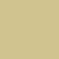 Краска Oikos Фасадная линия ELASTRONG VENEZIA FINE Elas-fine-TL252 коричневый — купить в Москве в интернет-магазине Snabimport