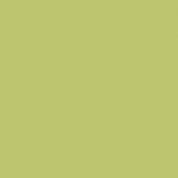 Краска Oikos Фасадная линия ELASTRONG VENEZIA FINE Elas-fine-TL272 зеленый — купить в Москве в интернет-магазине Snabimport