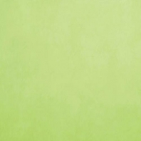 Краска Oikos Фасадная линия ELASTRONG VENEZIA FINE Elas-fine-TL293 зеленый — купить в Москве в интернет-магазине Snabimport