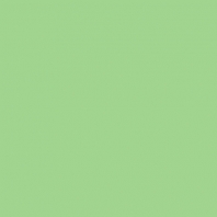 Краска Oikos Фасадная линия ELASTRONG VENEZIA FINE Elas-fine-TL323 зеленый — купить в Москве в интернет-магазине Snabimport