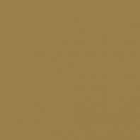 Краска Oikos Фасадная линия ELASTRONG VENEZIA FINE Elas-fine-TL381 коричневый — купить в Москве в интернет-магазине Snabimport