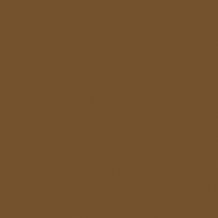 Краска Oikos Фасадная линия ELASTRONG VENEZIA FINE Elas-fine-TL451 коричневый — купить в Москве в интернет-магазине Snabimport