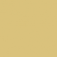 Краска Oikos Фасадная линия ELASTRONG VENEZIA FINE Elas-fine-TL483 желтый — купить в Москве в интернет-магазине Snabimport