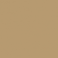 Краска Oikos Фасадная линия ELASTRONG VENEZIA FINE Elas-fine-TL562 коричневый — купить в Москве в интернет-магазине Snabimport